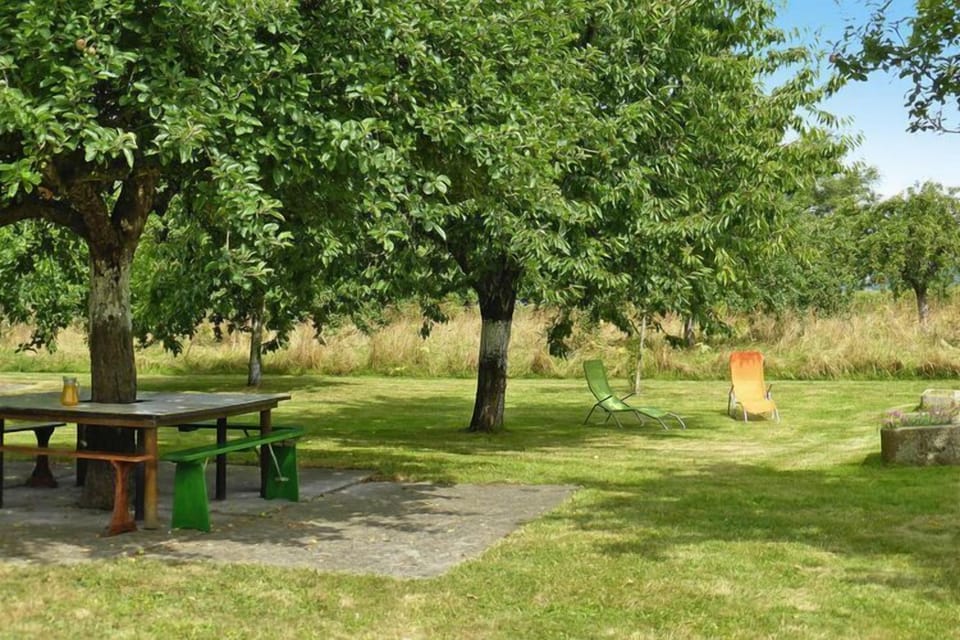 Garden [summer]
