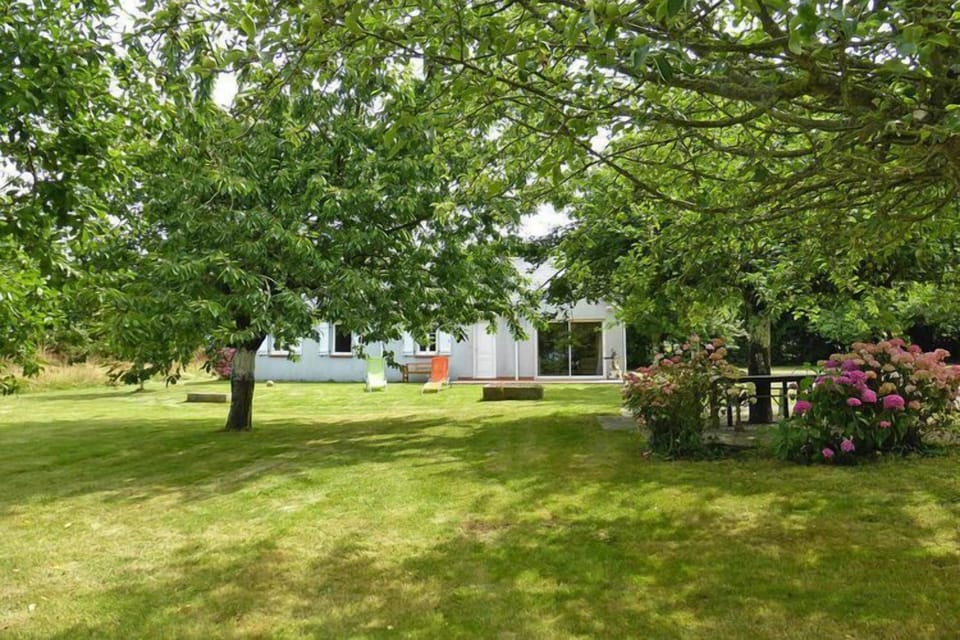 Garden [summer]