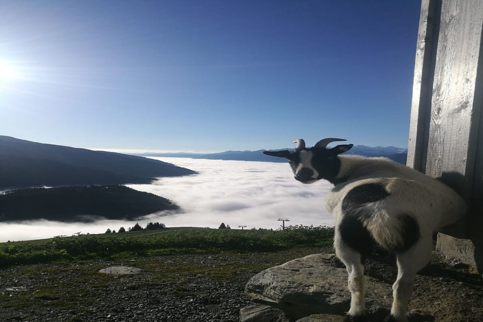 View from Holiday Home [summer]