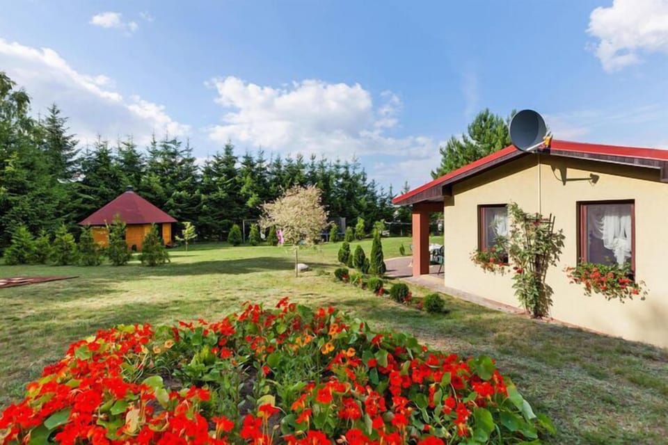 Garden [summer]