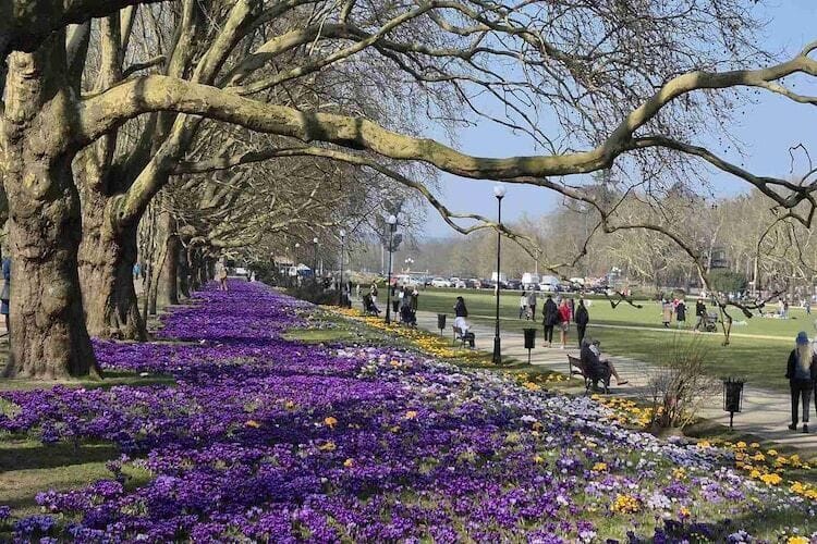 Region [summer] (>5 km)