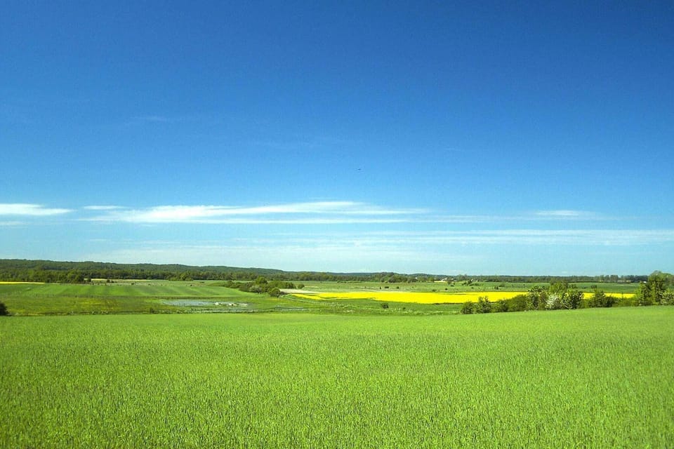 Surroundings [summer] (1-5 km)