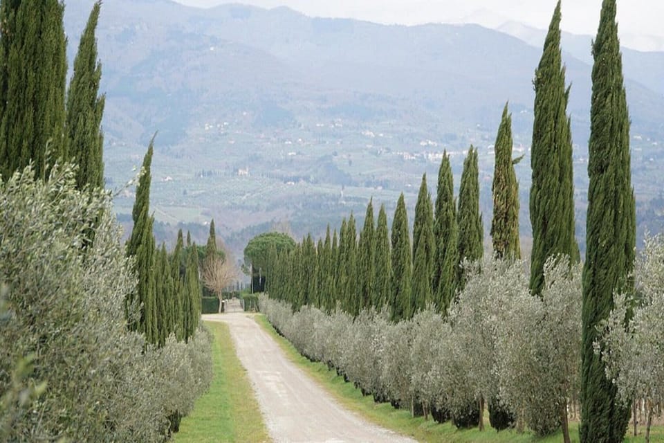 Immediate Surroundings [summer] (<1 km)