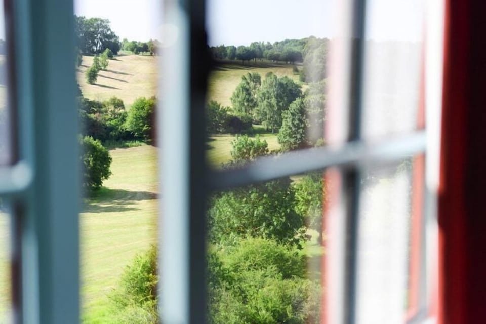 View from Holiday Home [summer]