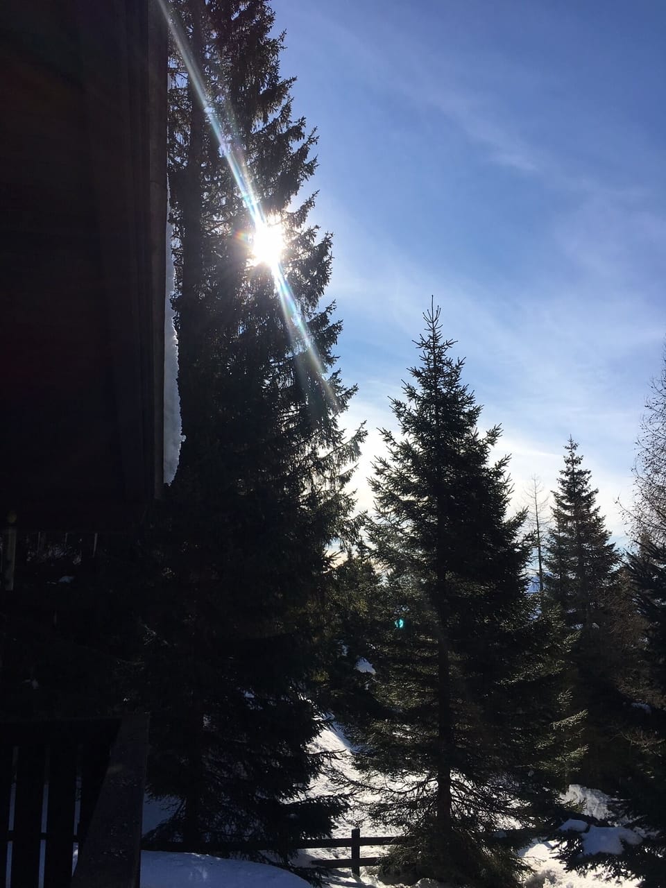 Günther's cabin Cabin in Carinthia, Austria