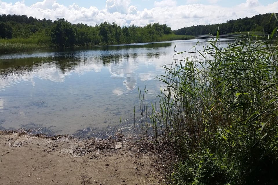 Immediate Surroundings [summer] (<1 km)