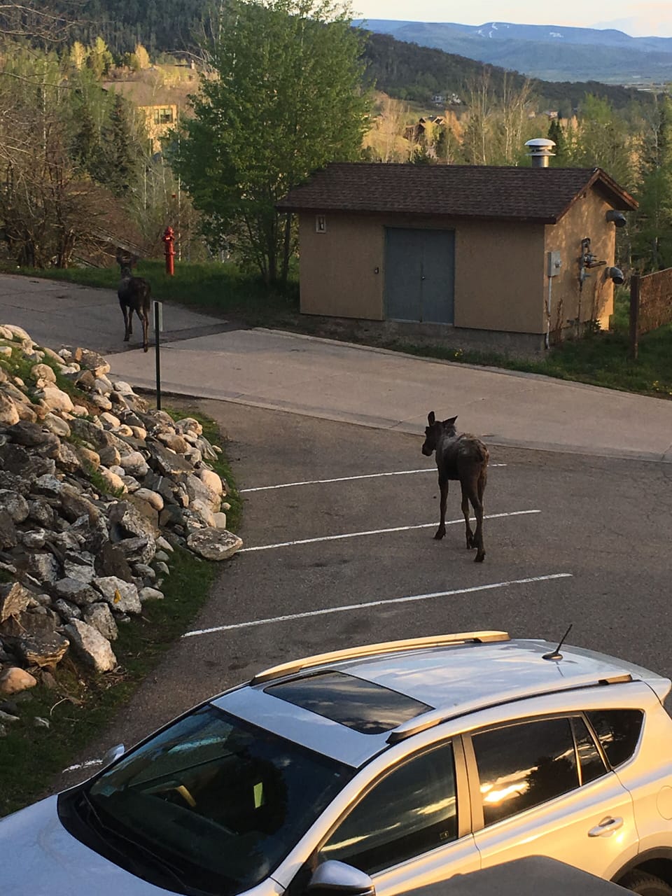 Parking
