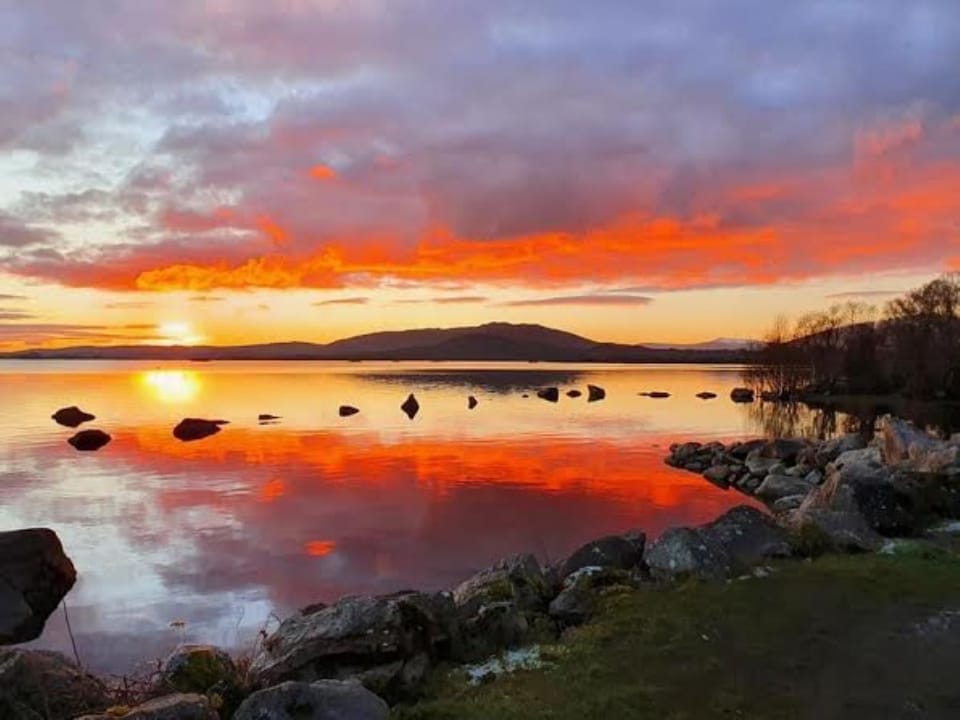 View from Drummin wood