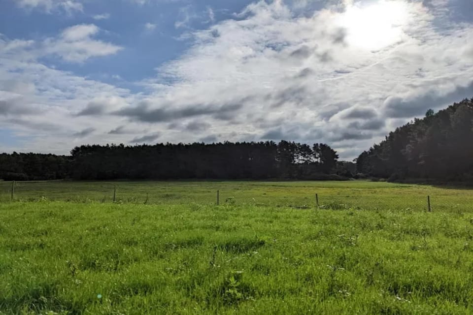 Surroundings [summer] (1-5 km)