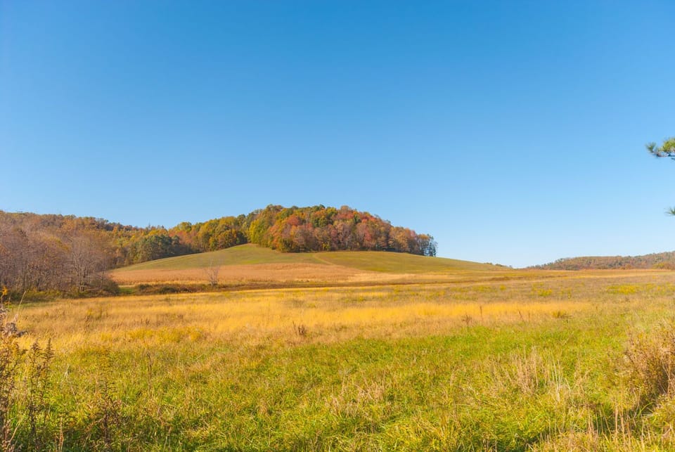 Experience the beauty of the Laurel Highlands. Book your mountain getaway today.
We offer the most unique collection of vacation homes in Laurel Highlands. From a cozy couple's getaway to a sprawling 400-acre private retreat, we have the perfect accommodations for your destination getaway.