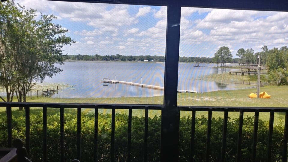 View From Screen Porch