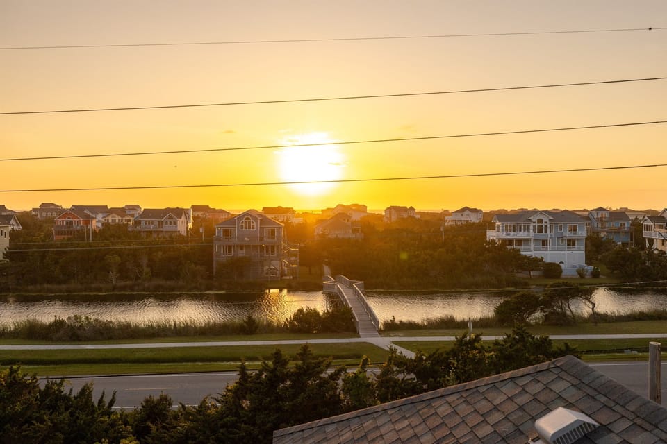 View from the Nest