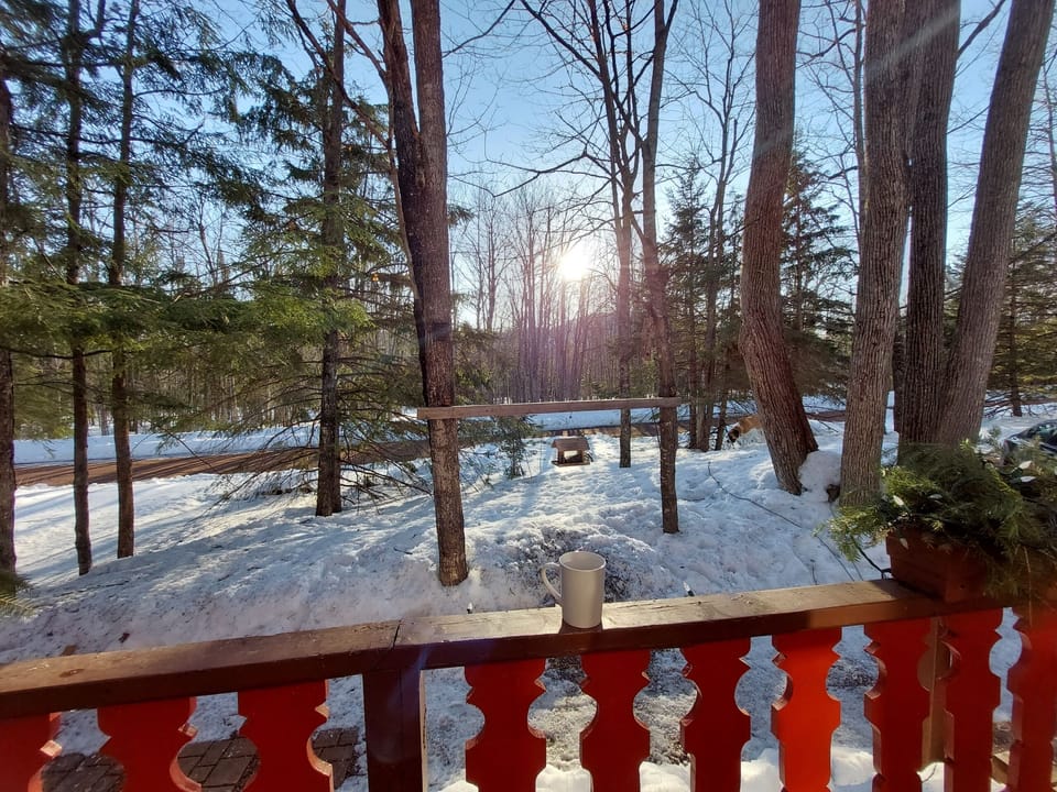 First spring morning of 2022