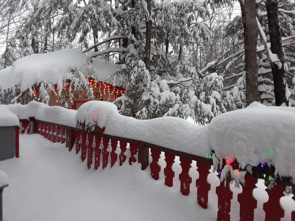 1 foot of lake effect snow mid January 2020