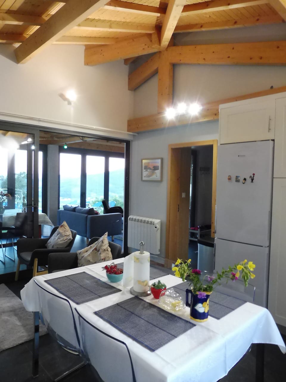 Kitchen of the Pool House - totally equipped with dishwasher, washing machine...