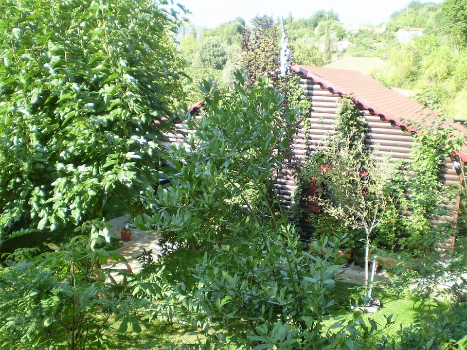 View of the accommodation