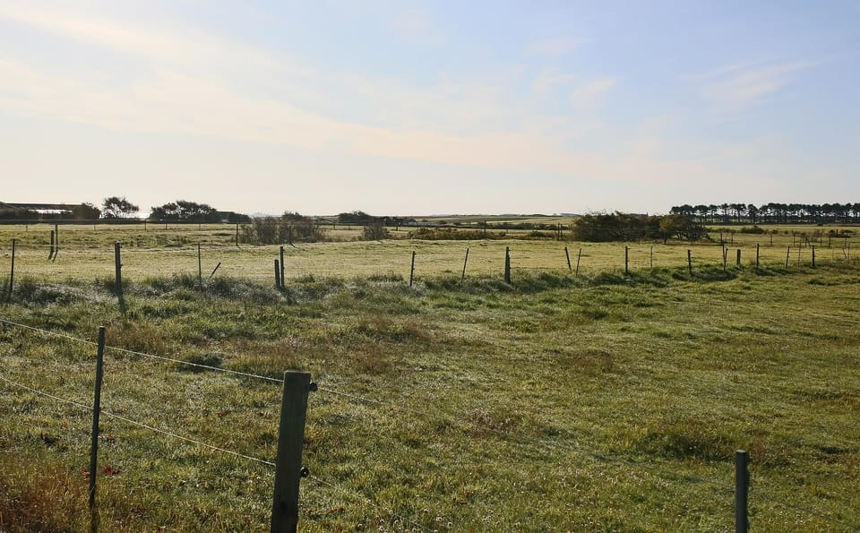Landscape around holiday apartment Kleine Perle