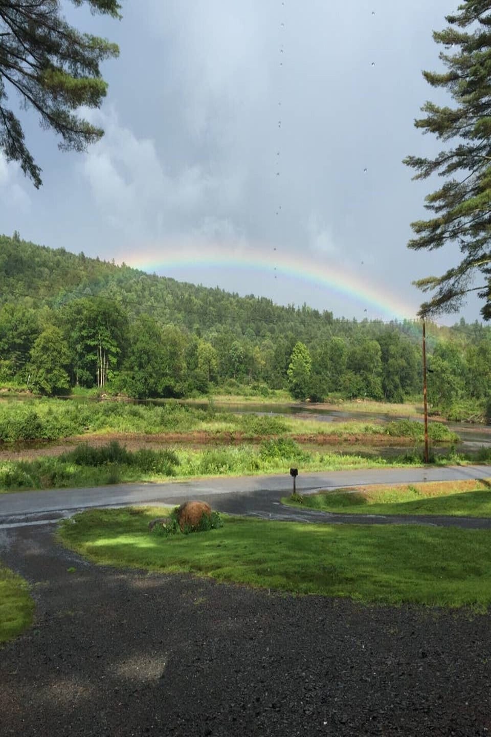 You never know what you will see.