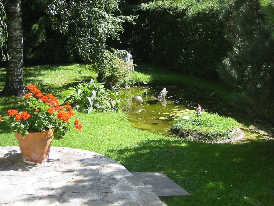 Garden, Lawn, Natural Landscape, Grass, Yard, Botany, Landscaping, Landscape, Botanical Garden, Shrub