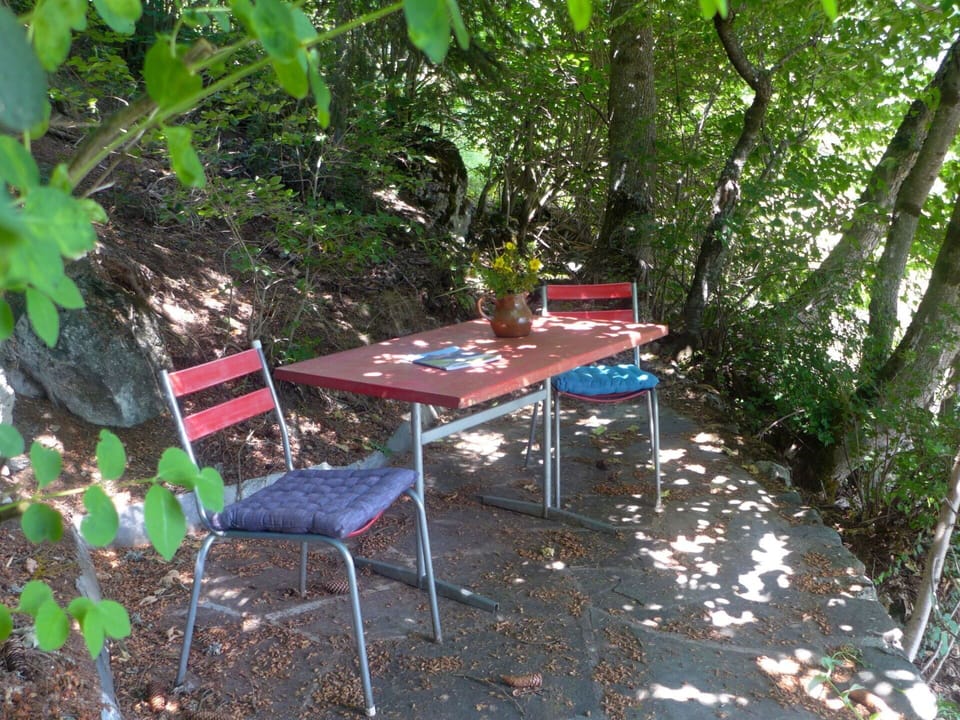 Table, Furniture, Nature Reserve, Backyard, Outdoor Table, Botany, Chair, Tree, Jungle, Plant