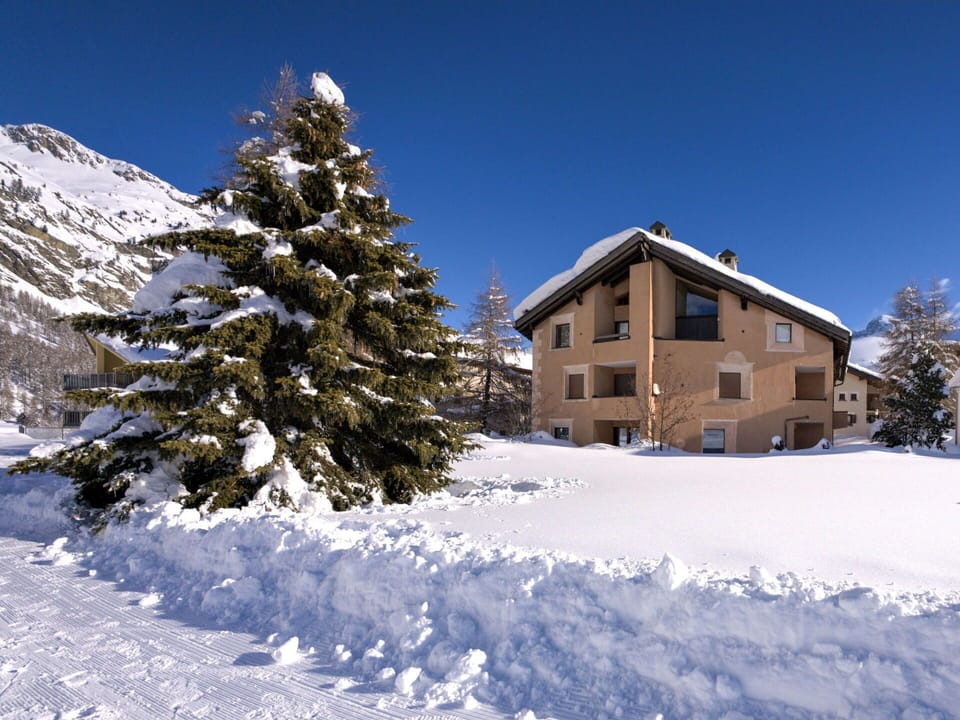 Sky, Snow, Building, Window, Branch, Tree, House, Larch, Slope, Natural Landscape