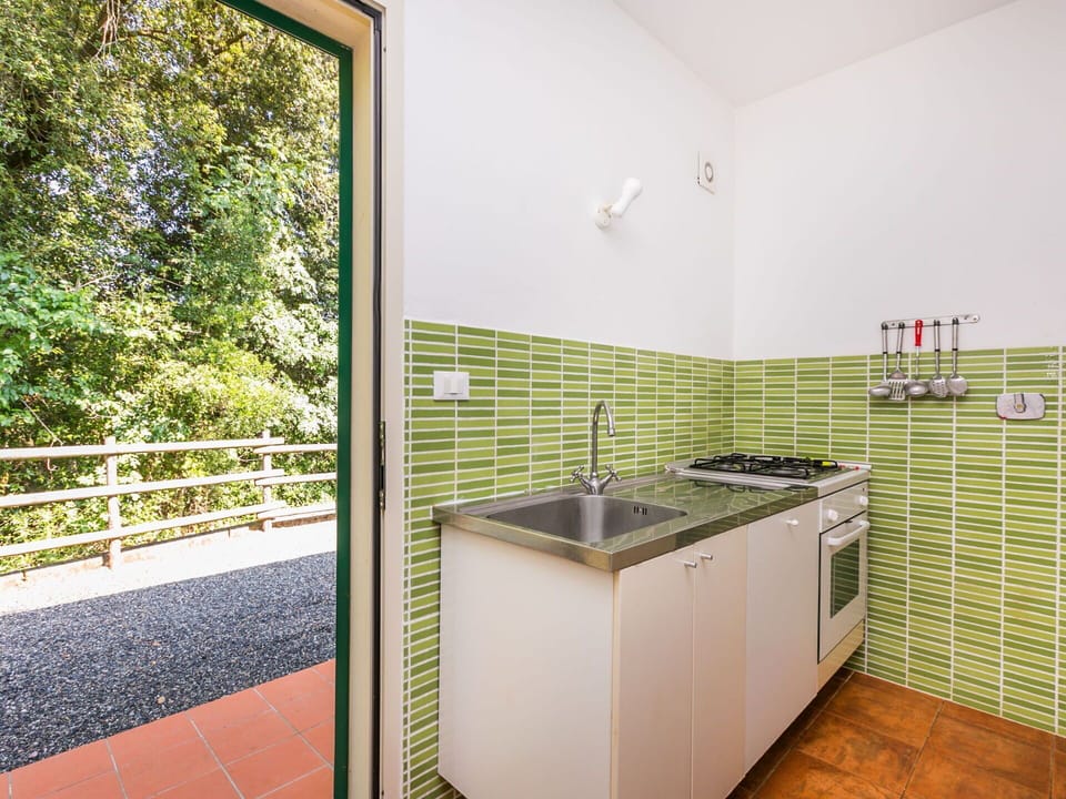 Cabinetry, Building, Plant, Sink, Kitchen Sink, Countertop, Wood, Plumbing Fixture, Kitchen Stove, House