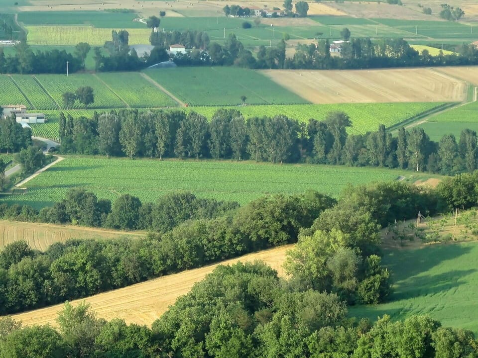 Natural Landscape, Green, Nature, Field, Grassland, Hill, Rural Area, Land Lot, Natural Environment, Tree