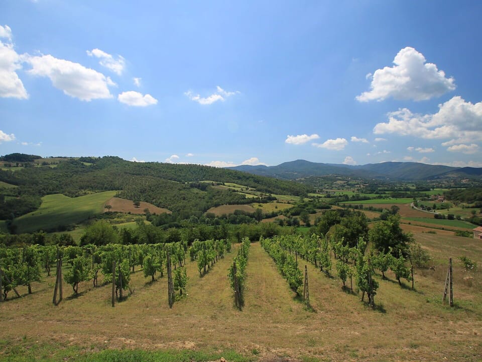 Sky, Highland, Hill, Mountainous Landforms, Hill Station, Cloud, Wilderness, Vineyard, Mountain, Rural Area