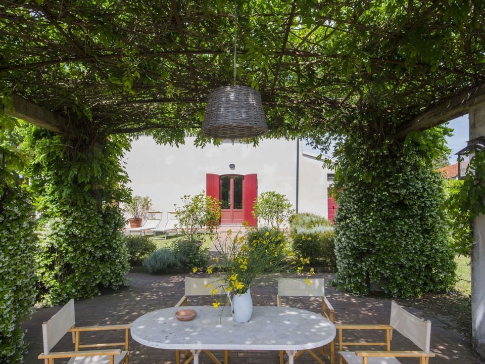 Property, Garden, Courtyard, Building, House, Yard, Botany, Real Estate, Backyard, Tree