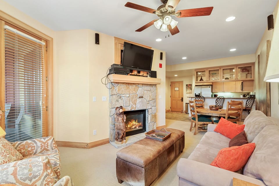 Living and Kitchen Area
