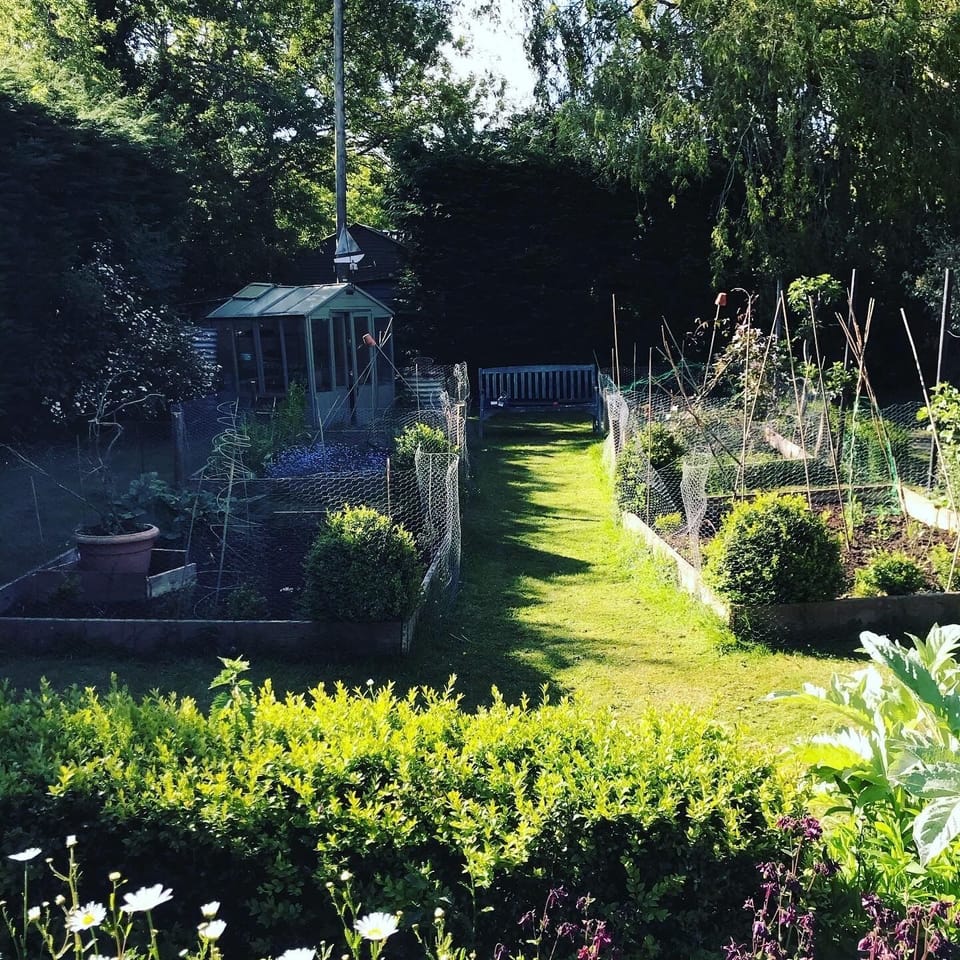 A view of the cutting garden.