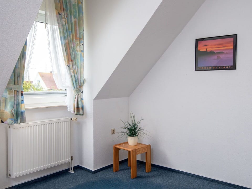 Building, Plant, Flowerpot, Houseplant, Wood, Window, House, Comfort, Picture Frame, Living Room