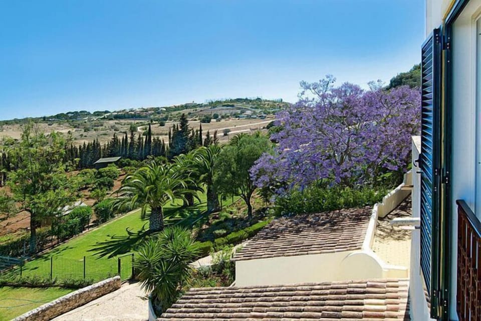 View from Holiday Home [summer]