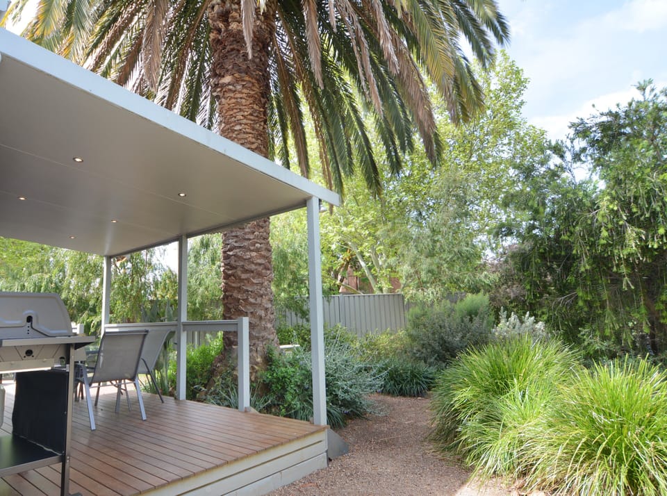 Back garden