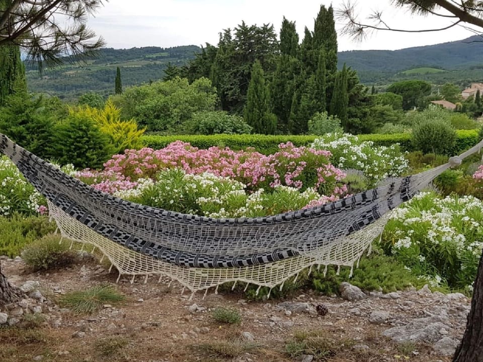 Garden [summer]