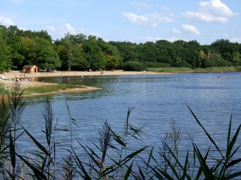 Lake