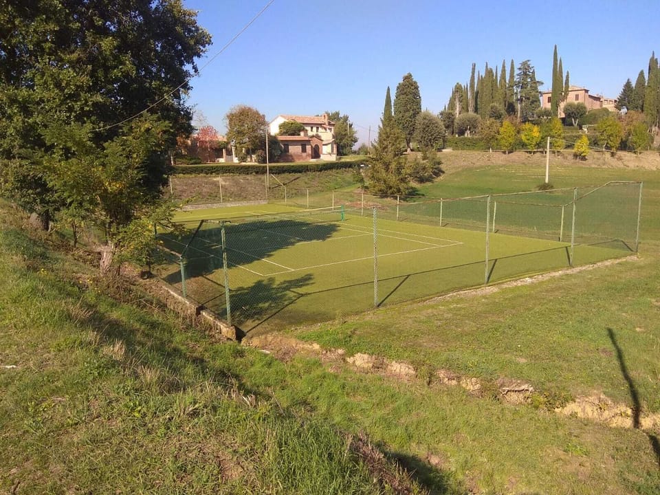 Sport court