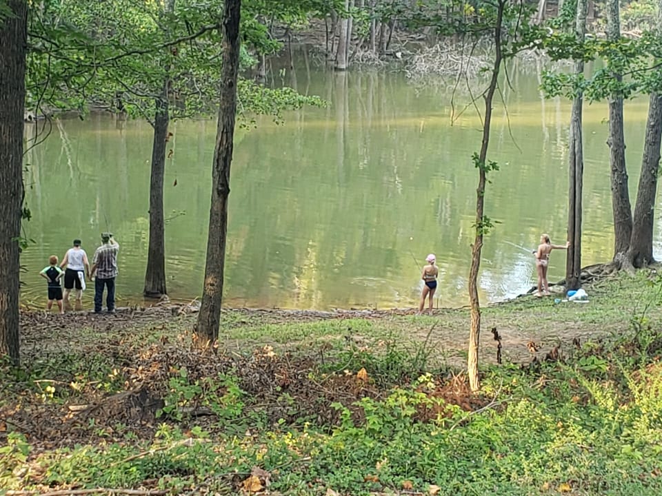 Fishing from the shore