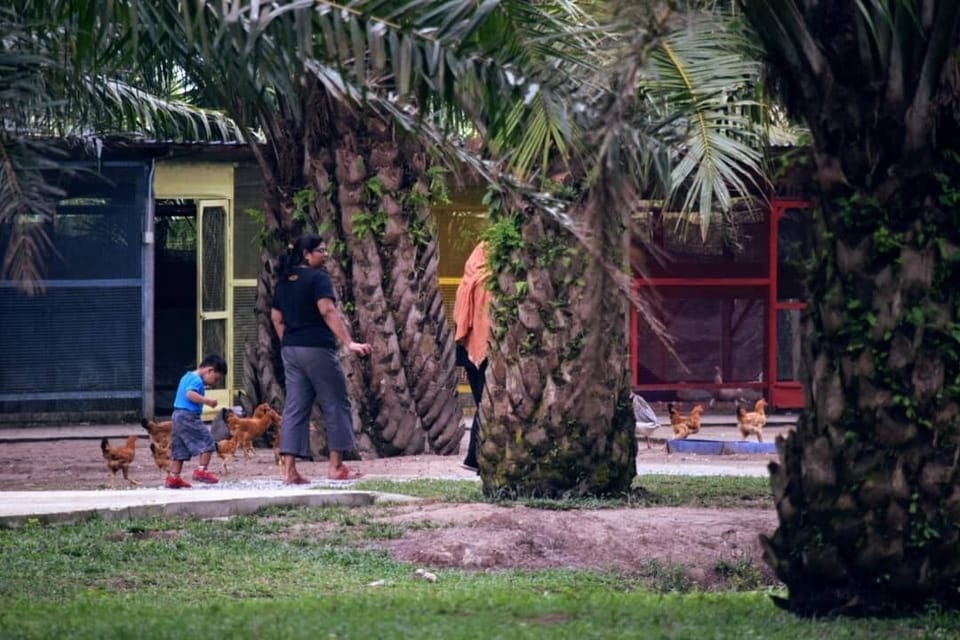 A family enjoying the embrace of nature and animals. 