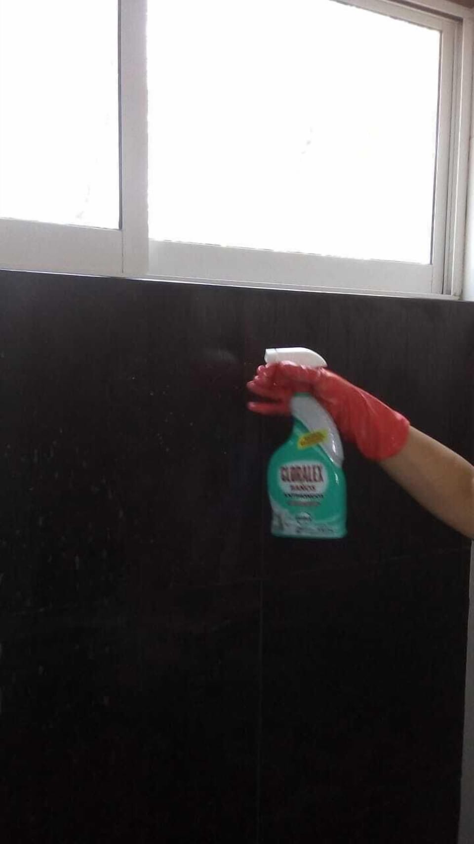 Baños: pared se talla, lava y desinfecta,