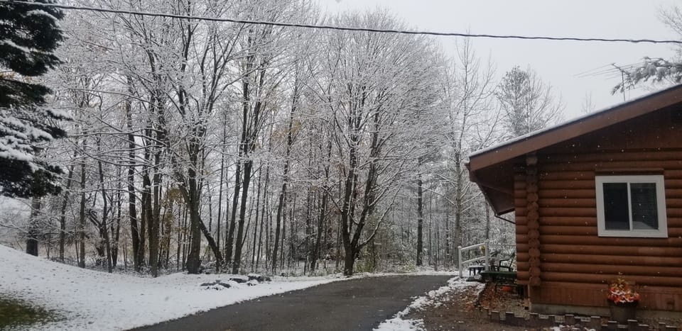 Winter at the Quilted Long