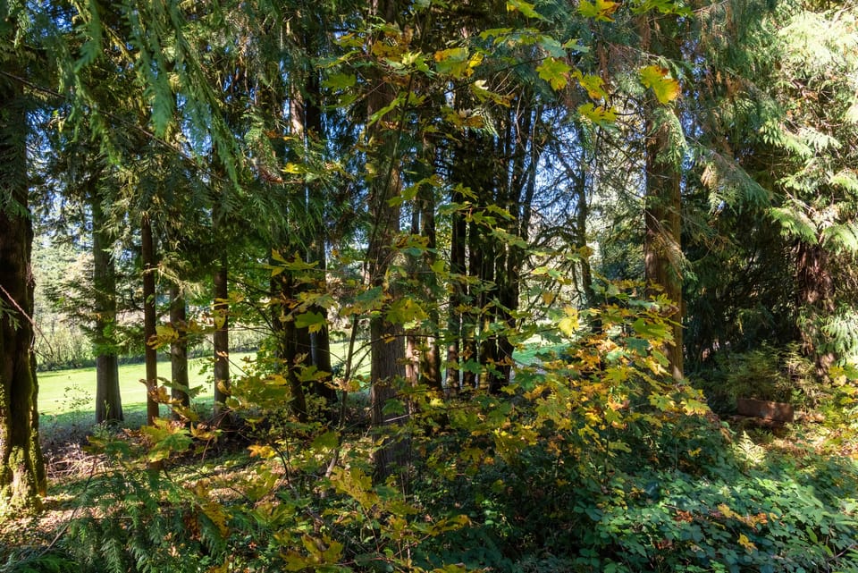 Wooded Area and Golf Course. - access to walking trails, wooded area, and golf course access.