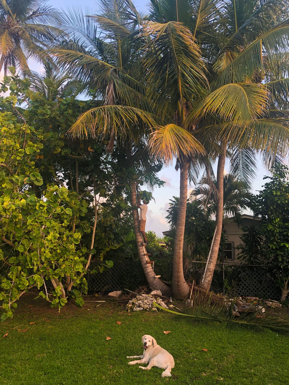 Property grounds