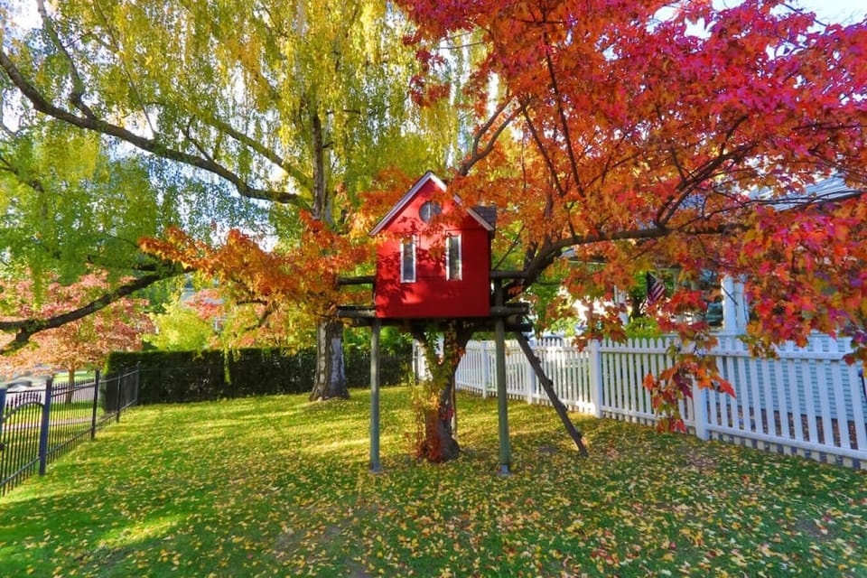 A tree house perfect for the littles!