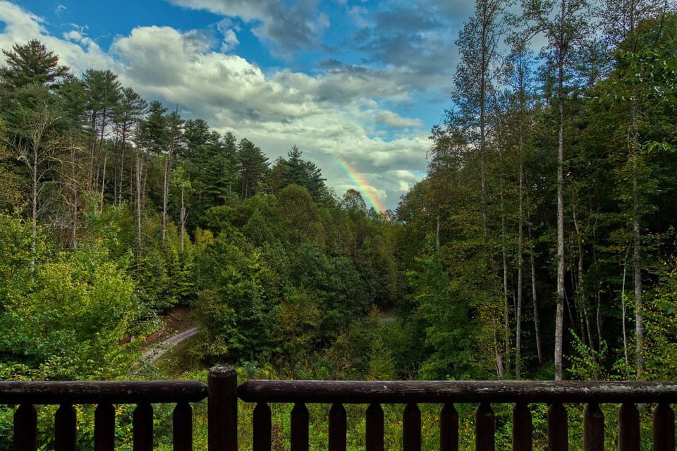 View from deck of the forested setting surrounding the cabin with seclusion.  Road below is cabins private driveway.
