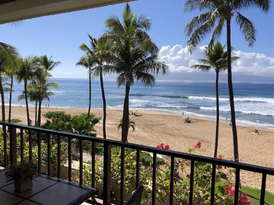 This is Our Slice of Paradise 