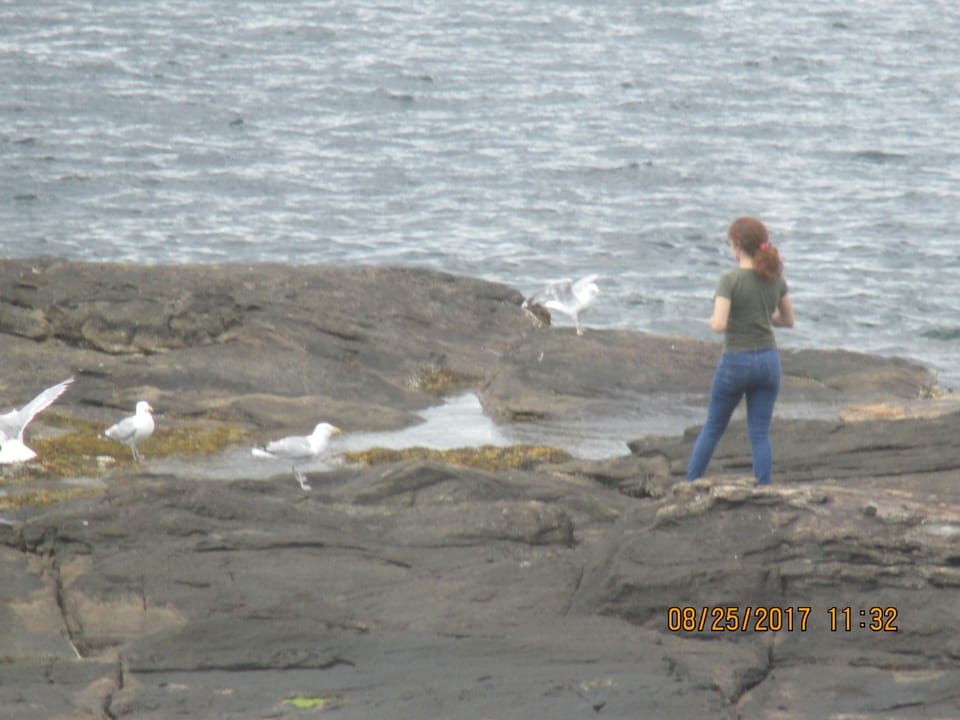Rock in front of our property.  One can swim or fish from here at low tide
