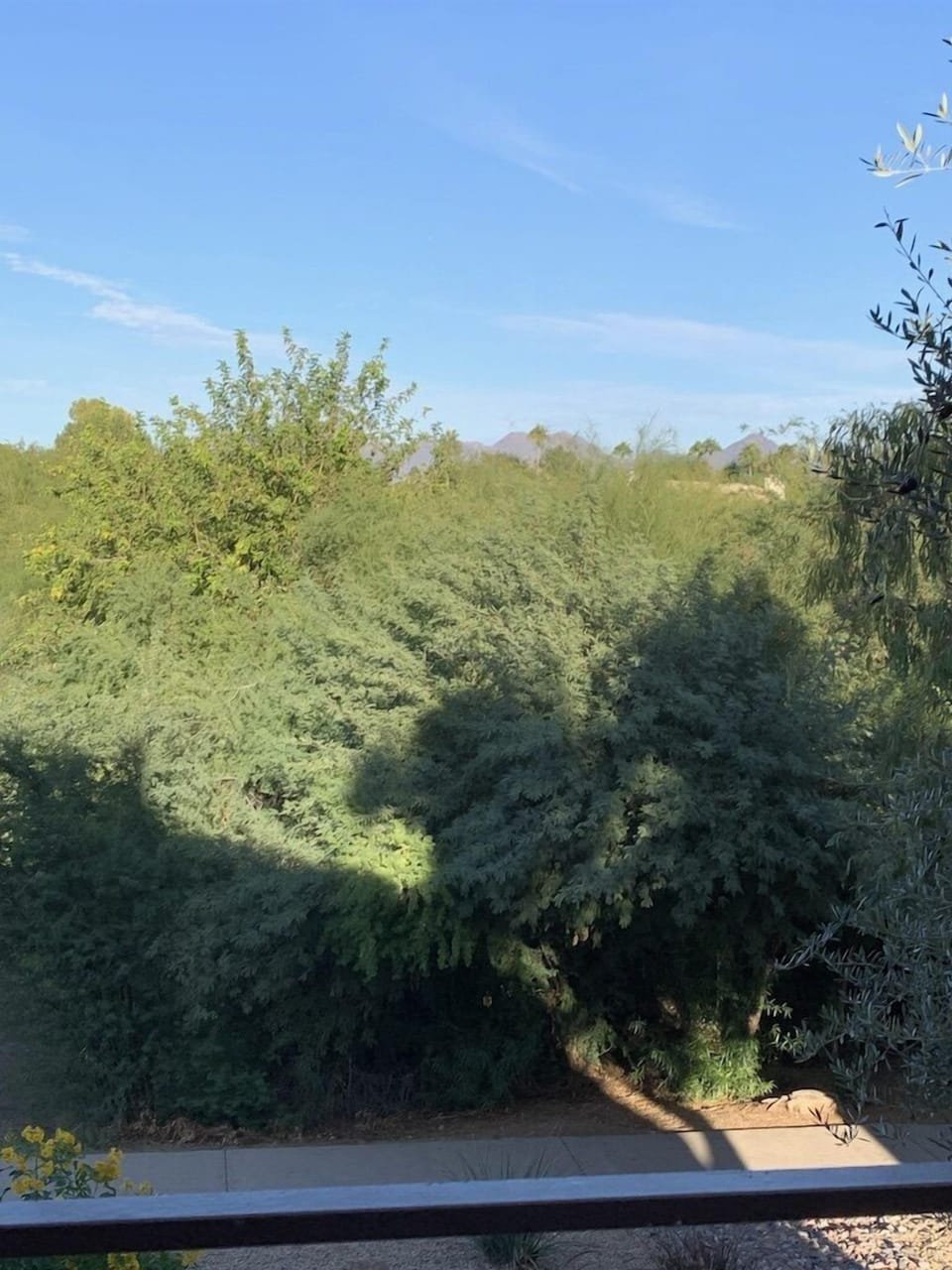 View from property