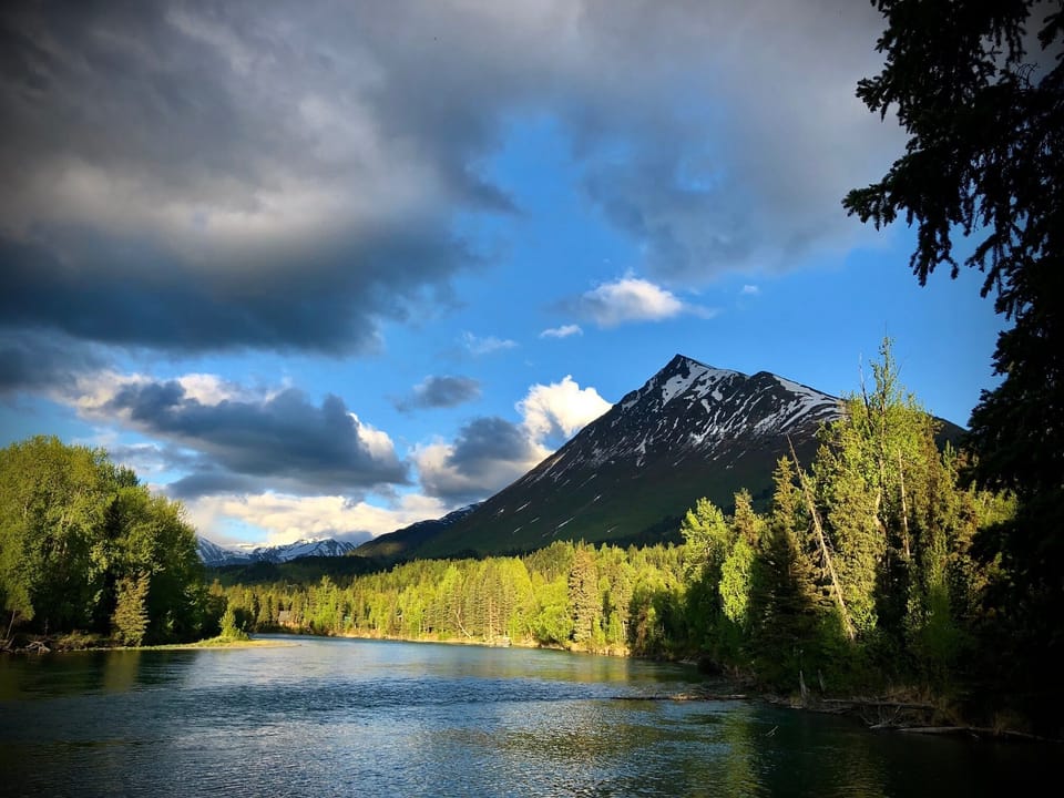 Your view of the Kenai River, just steps outside your vacation home.