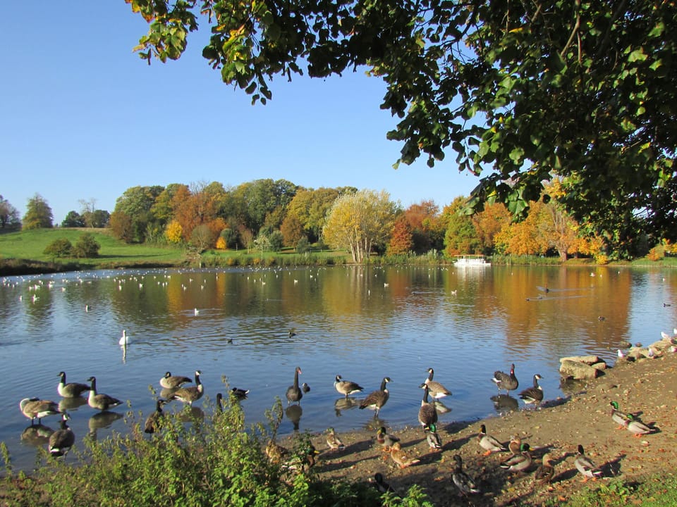 Lake